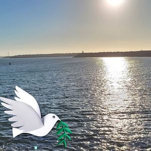 Meet your Posher, Myra